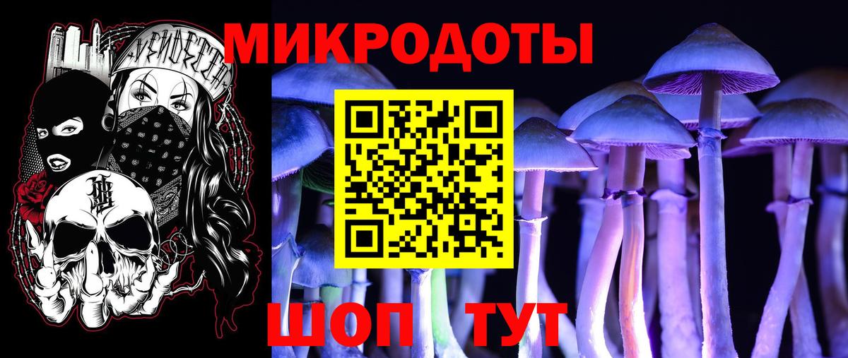 Кандалакша  Псилоцибиновые грибы прущие грибы  Вход с VPN 