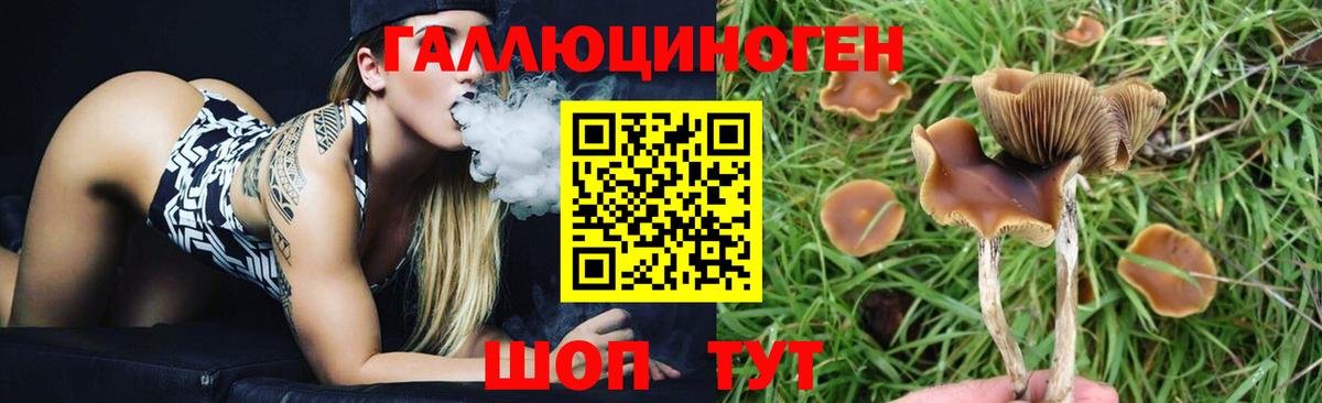 Псилоцибиновые грибы GOLDEN TEACHER Кандалакша